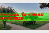 探索无限精彩：亚洲一区香蕉视频，畅享海量视听盛宴