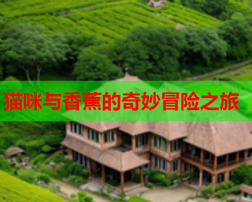 猫咪与香蕉的奇妙冒险之旅  第1张