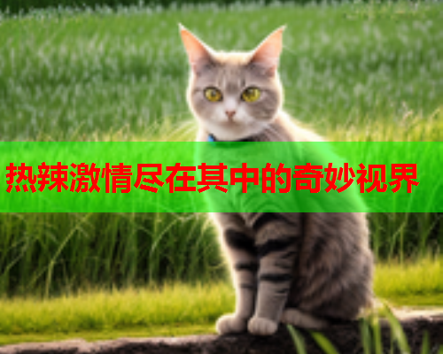 热辣激情尽在其中的奇妙视界 第2张 热辣激情尽在其中的奇妙视界 第2张